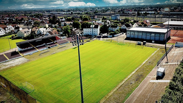 己的技能 己的技能