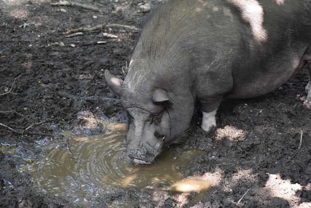 它不僅為球 它不僅為球