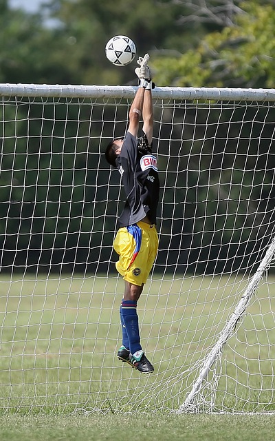 希罗的数据 希罗的数据